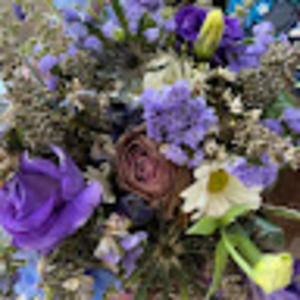 Meet your Posher, Bobbie